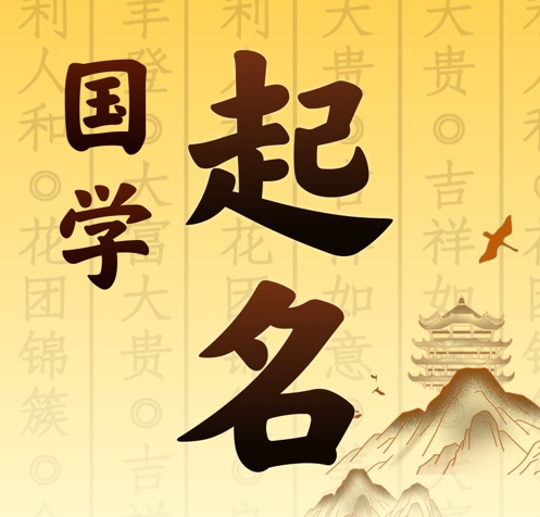 岑巩国学起名 人工起名一对一